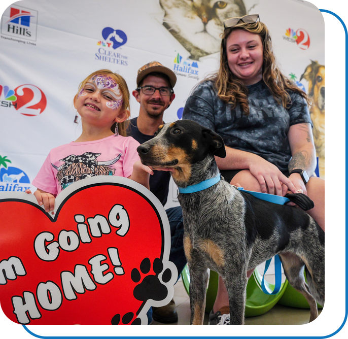 A family happily adopting a dog